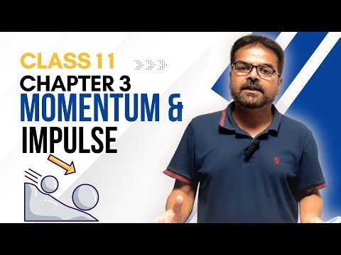 Momentum and Impulse Explained | Class 11 Physics Chapter 3