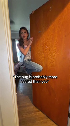 #bugs#scary#fyp | Big Bugs