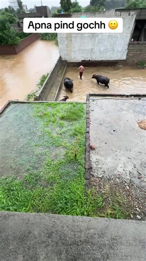 Apna Pind Gochh – Apna Pind Panyar Village Highlights