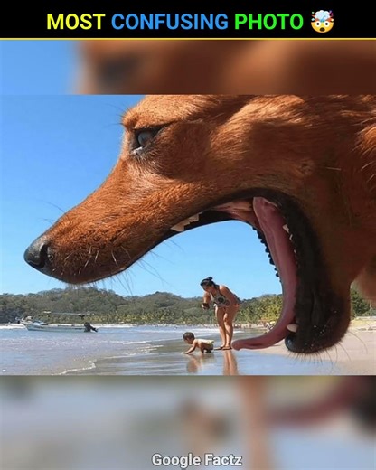 Most Confusing Photos 😱 #shorts #shortvideo