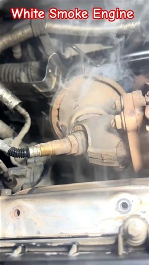 White Smoke In Engine #ytshorts #automobile #mechanic #brakefluid #shortfeed #shorts