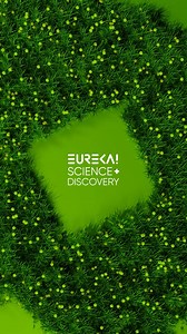 Here's another little peek at The Burrow! At this time, we cannot provide a date as the work needing to be done is external and being completed by our friends over at Merseytravel. But as soon as we have a date, we'll be sure to let you know! We can't wait! 🐿️ 🍃 | Eureka Science Discovery