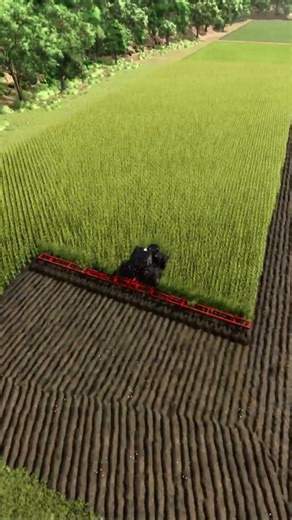 Plowing Corn 🌽 Is Satisfying in Farming Simulator #fs25 #farmingsimulator #fs25timelapse