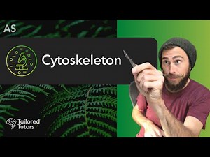 Cytoskeleton | A Level Biology Tutorial | OCR