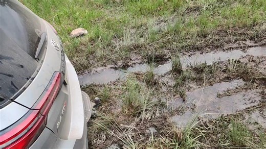 The SNAT Platform on Reels