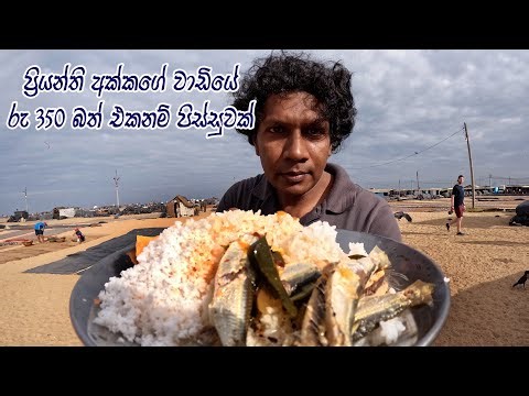 තැම්බුන් හොද්ද ලිපේ තියලා මාළු ගේන්න යන ප්‍රියන්ති අක්කා Sea Food | Street Food | Fish Curry