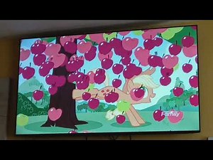 Discovery Family Commercial Break Wednesday July 9th 2025