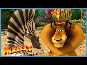 Alex and Marty: Bestfriends Again! 😯⭐️ | DreamWorks Madagascar