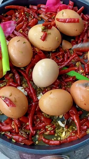 鸡蛋孵化14天：观察蛋黄与胚胎发育