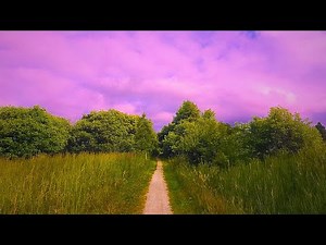 Liminal Space Compilation... /w Ambient Music