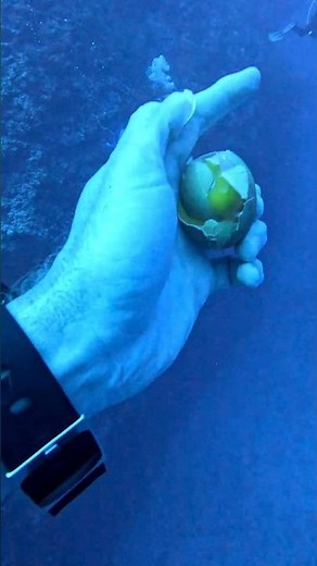 Cracking an Egg at 54 Meters on Air || ViralHog