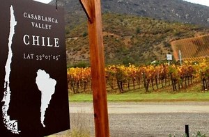 ROTA DO VINHO Valle de Casablanca 🍷 quais vinícolas visitar?