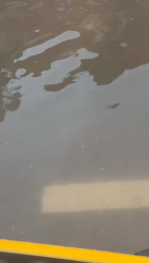 Así luce la zona hotelera de Cancún tras paso de tormenta tropical 'Alberto' #cancun #tormantatropical #Alberto #TV3 | TV3 Xicotepec