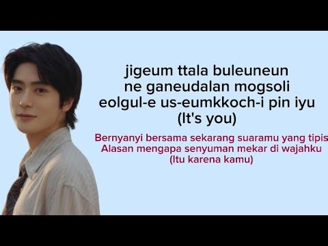 Jaehyun ‘Dandelion’ | Lirik Terjemah Indonesia
