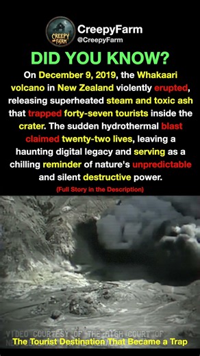 The Whakaari Volcano Tourist Disaster