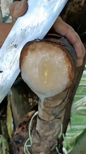 Acidity + Gas + Constipation ek saath? Ye 1 nuskha kaafi hai | Ayurveda