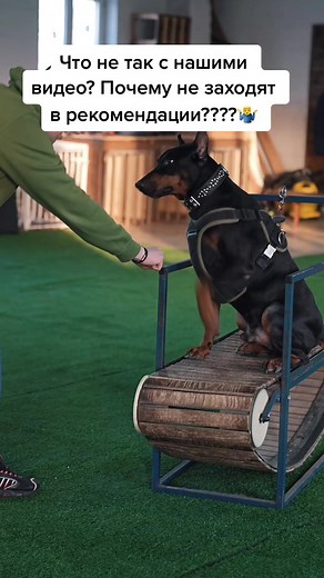 Герман Иким on TikTok