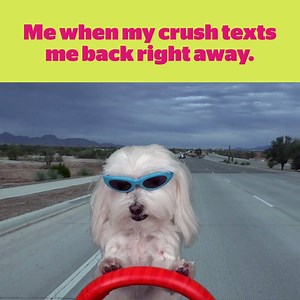 89K views · 337 reactions | Get down with your bad self. | Koodo | Facebook