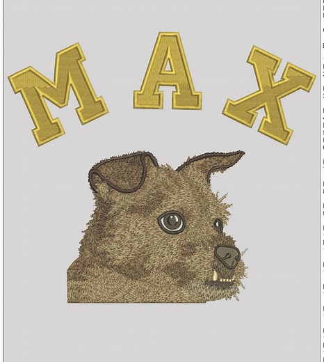 Onex Digitizing on Reels