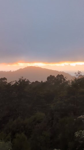 Morning sunshine | Vortex Healing Centre Inc