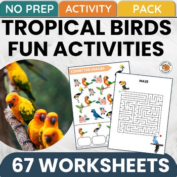 Tropical Birds Activities - Matching Counting Tracing Kindergarten Worksheets