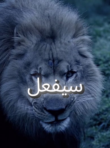 #اقتباسات_عبارات_خواطر #المواقف #عبارات