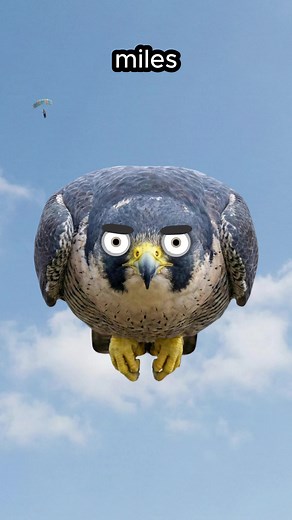 Overpowered Animals and Their Hunting Tactics