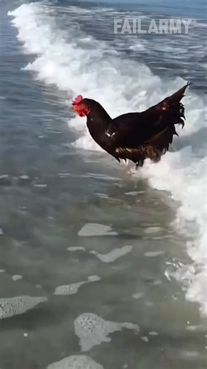 FailArmy | Would you brush your teeth with KFC toothpaste? #KFC #toothpaste #kfctoothpaste #fails #chickensofinstagram | Instagram