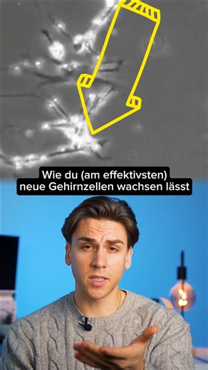 Krafttraining und BDNF: Wichtig für Neurogenese