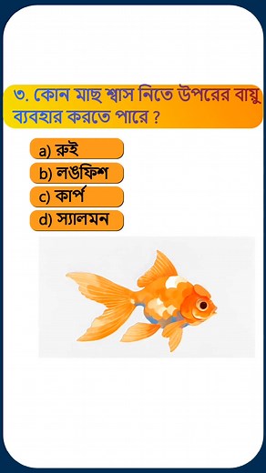Bangla Quiz Challenge #bengaligk #gk #QuizTime #BanglaQuiz #বাংলাপ্রশ্ন #education | The Q&A Nexus