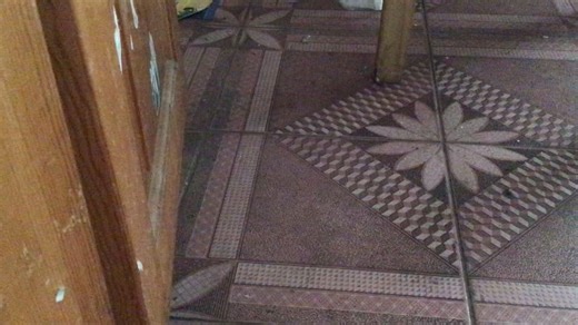 完整版蝈蝈叫声