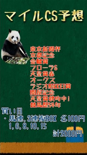 【マイルチャンピオンシップ予想2025】エリ女◎〇▲完全的中！4連続G1的中を目指して！一口馬主歴8年のしろくま #shorts #競馬予想 #マイルチャンピオンシップ予想 #マイルチャンピオンシップ