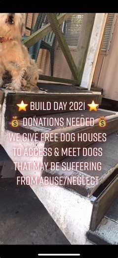 19 reactions | ❤ #dog #dogrescue #animalrescue #doglife #puppy #dogs #dogsofinstagram #storytime #foryou #viral | DOG Lovers | Facebook