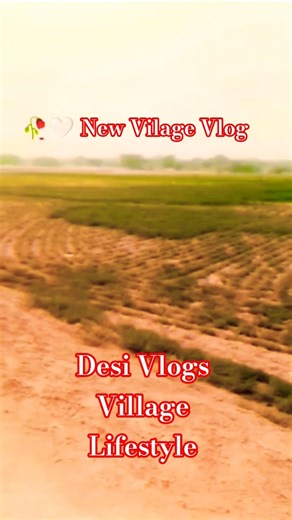 new vilage vlogs farming vlogs village#shortvideo #villagerlifestyle #farming #desiviilagelifetstyle