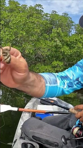 The EASIEST Way to Catch Sheepshead