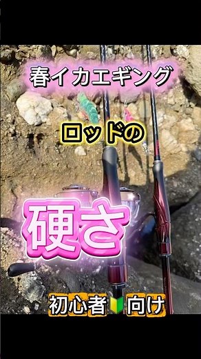 【エギング】春イカエギング ロッドの硬さ【初心者】