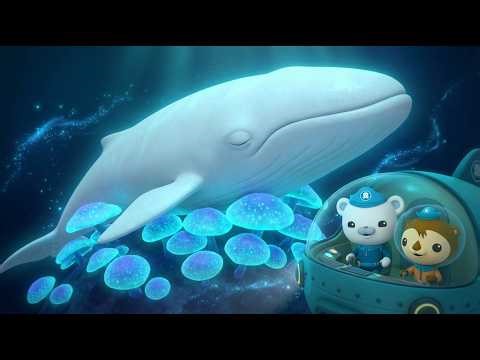 🌊 Octonauts & The Decorator Crab Mystery! 🦀✨