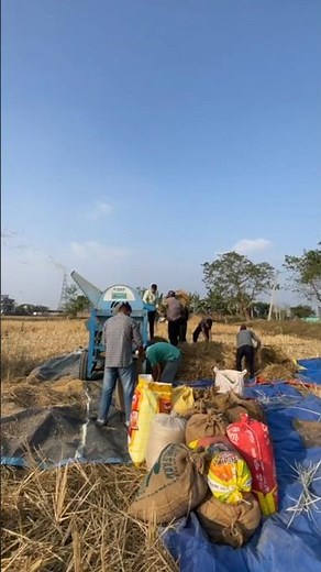 Modern Farming in Assam: Combine Harvesters.