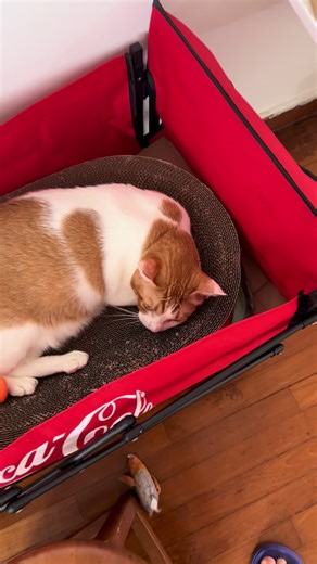 My son coming six months never take shower today Orange take shower Lucky boy boy already shower a few days ago today weather very good let’s go