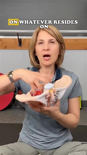 Top 3(ish) symptoms of pelvic floor dysfunction in men.. Men — these might sound familiar: 💥 Change in sensation related to the penis� 💥 Constipation issues� 💥 Dribbling, having to force the pee, tension at the base of the penis, anus, perineum� All signs of pelvic instability.� ✅ And the fix can be found in developmental exercises. #pelvicpain #malepelvicfloor #malepelvicpain #malepelvicfloordysfunction #malekegel #pelvic #pelvicfloordysfunction #pelvicfloorhealth #pelvictilt #pelvicfloorexe