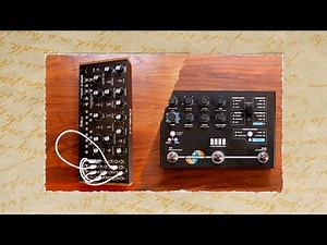 Hologram Microcosm & Moog Mother-32 | Sound Recipes #54