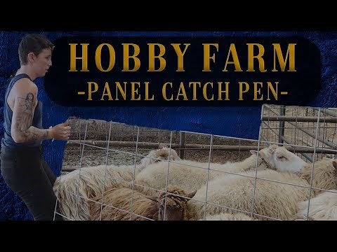 Building A Quick Sheep Catch Pen