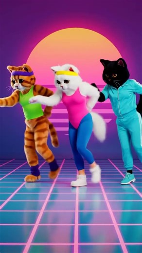 80s dance for cats #dance #80s