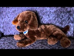 NINTENDOGS CHOCOLATE LAB