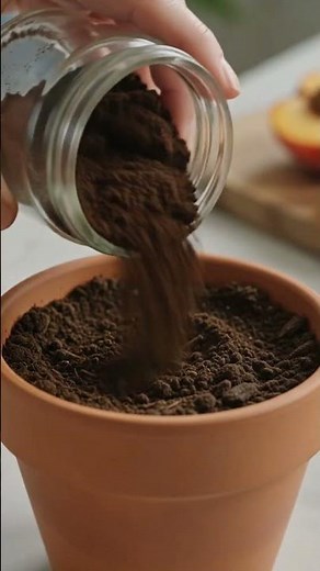 How to Grow Peach Trees from Seed | Step-by-Step Germination & Planting Guide