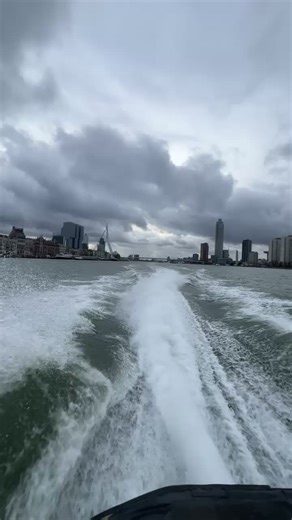 Exploring the Erasmus Bridge and Water Taxi in Rotterdam