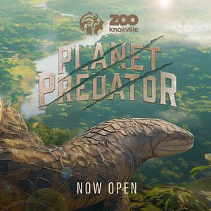 30K views · 18 reactions | Are you ready for a savage safari? Visit Zoo Knoxville to meet the fiercest beasts of all time and explore their world. | Zoo Knoxville | Facebook