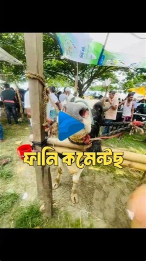 🤣Funny comments video 🤣Fc6🤣Funny comments video 🤣Fc6#shortvideo #viral #funnycomments #rc6