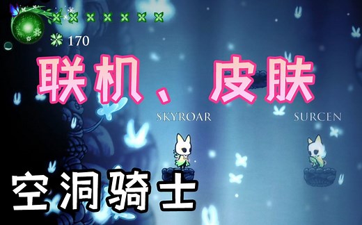 【空洞骑士】联机、皮肤安装教程丨Hollow Knight