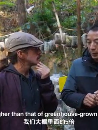 Forest-based Economy in Jiangxi: Sustainable Farming Success